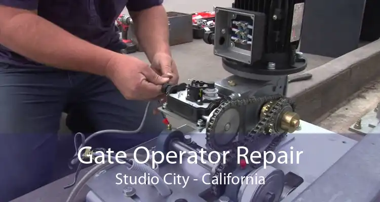 Gate Operator Repair Studio City - California